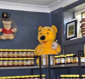 Retail & Wholesale – Mudgee Area NSW