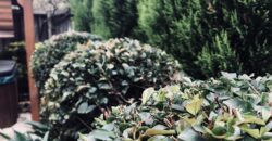GARDEN MAINTENANCE & LAWN CARE BUSINESS FOR SALE – INNER WEST