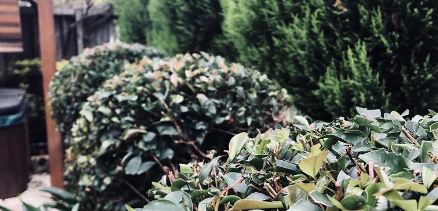 GARDEN MAINTENANCE & LAWN CARE BUSINESS FOR SALE – INNER WEST